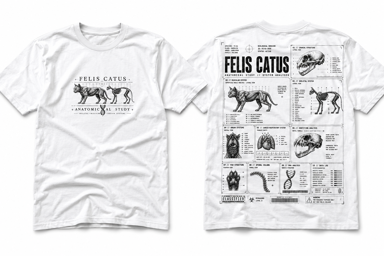 Felis